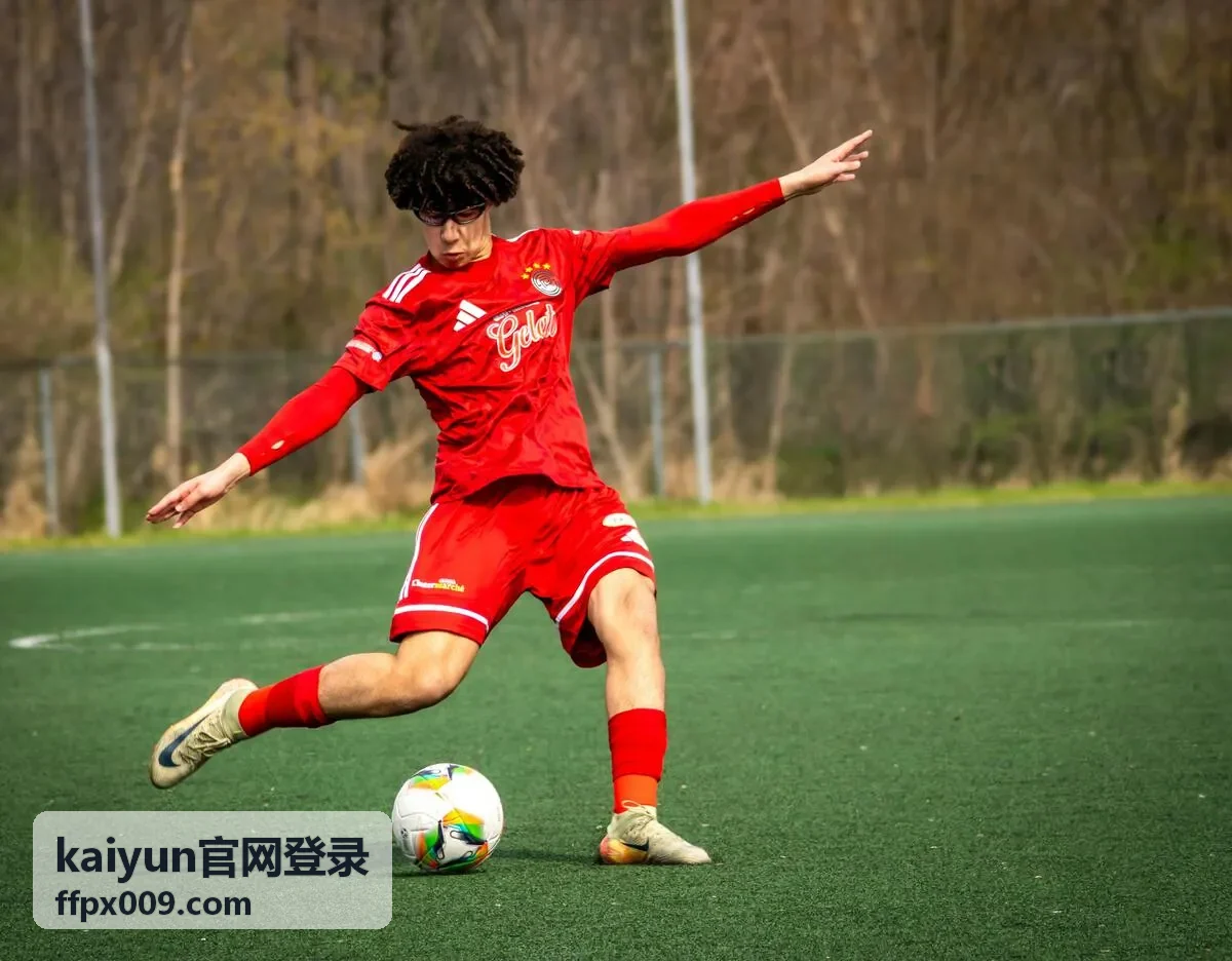 kaiyun官网登录 平台服务介绍