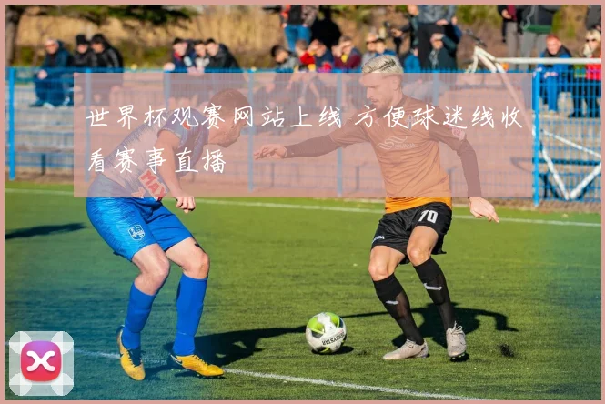 世界杯观赛网站上线 方便球迷线收看赛事直播