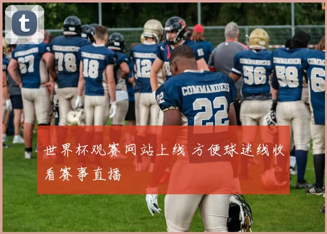 世界杯观赛网站上线 方便球迷线收看赛事直播