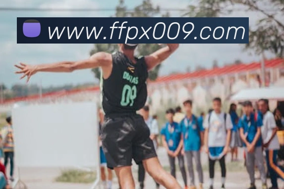 大阳城手机版官方网站发展历程